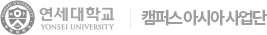 연세대학교 디자인예술학부