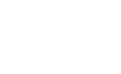 main_vi_logo